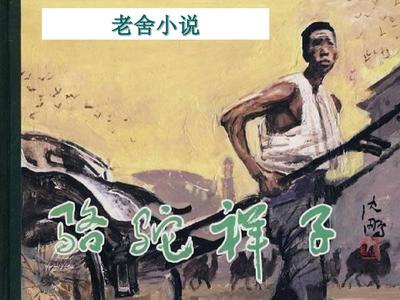 狼友视频中途转码